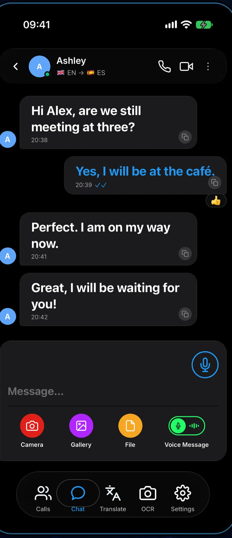 Dilinga chat screen: each message shown in the reader's own language.
