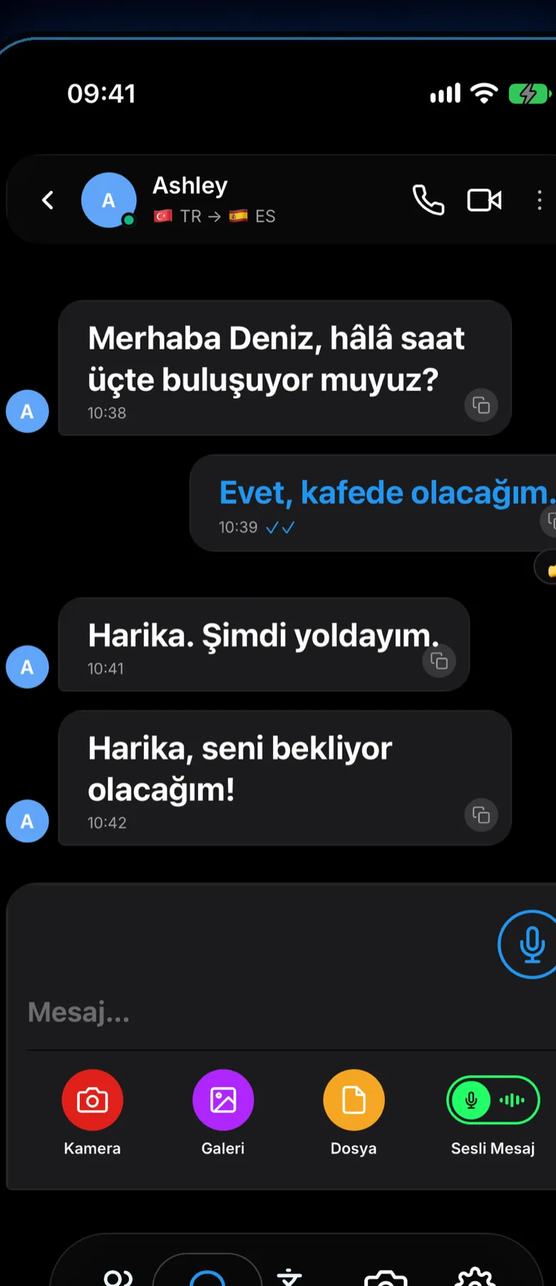 Dilinga sohbet ekranı: her mesaj okuyanın kendi dilinde görünüyor.